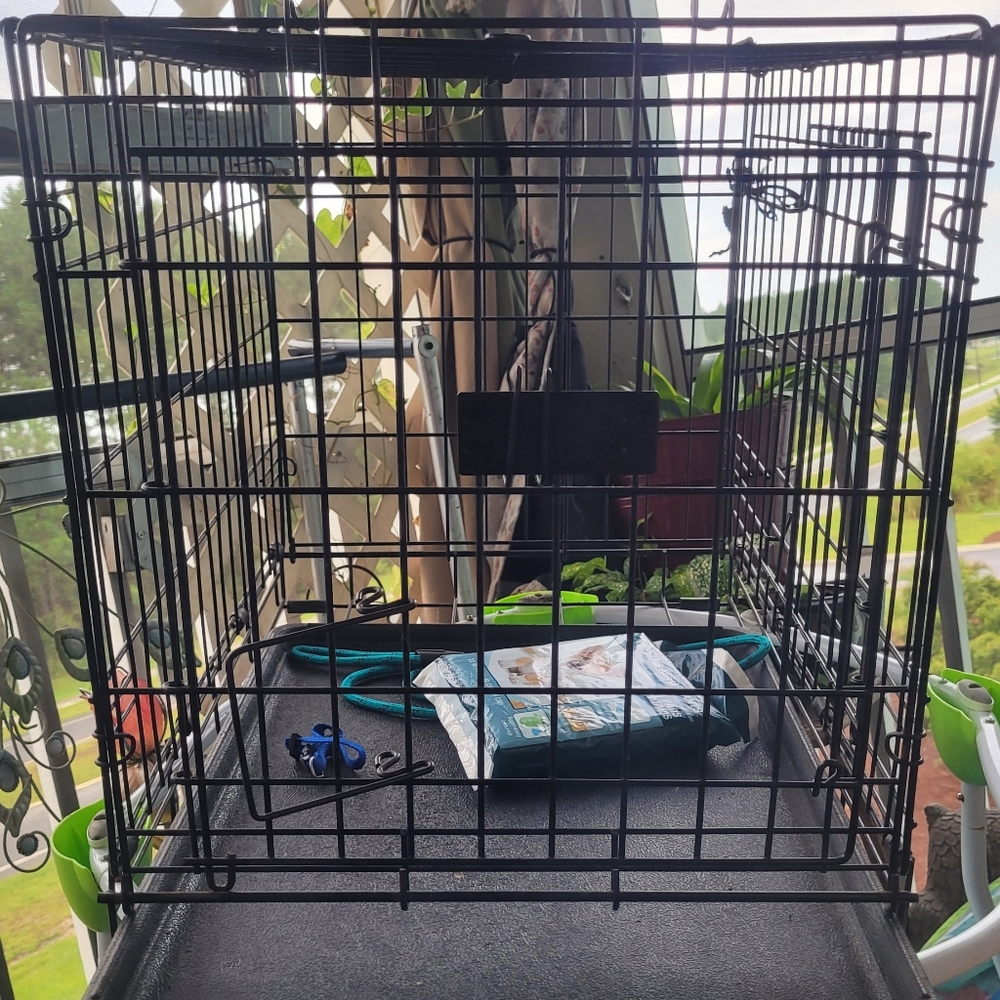 Small Dog Crate